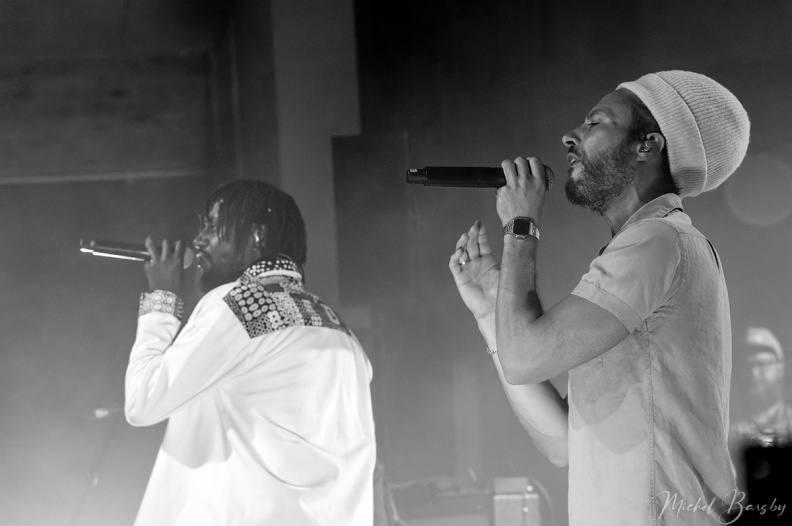.Danakil-Clermont (09)