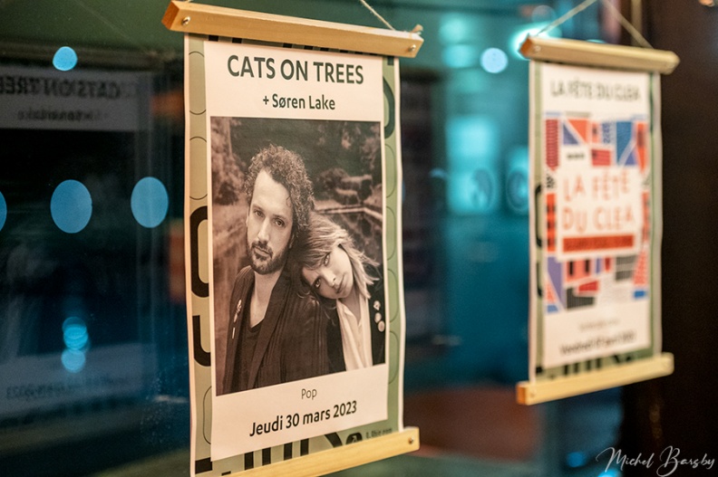 Cats-on-trees (92).jpg