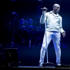 Seal (Sept 2024)